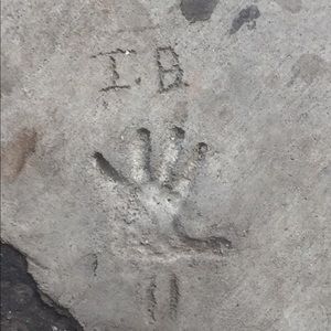 Meet your Posher, Paige